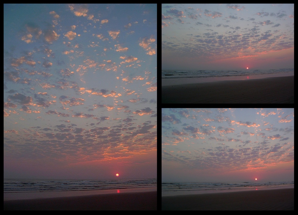 (05) dawn montage (day 5 - backup).jpg   (1000x720)   215 Kb                                    Click to display next picture